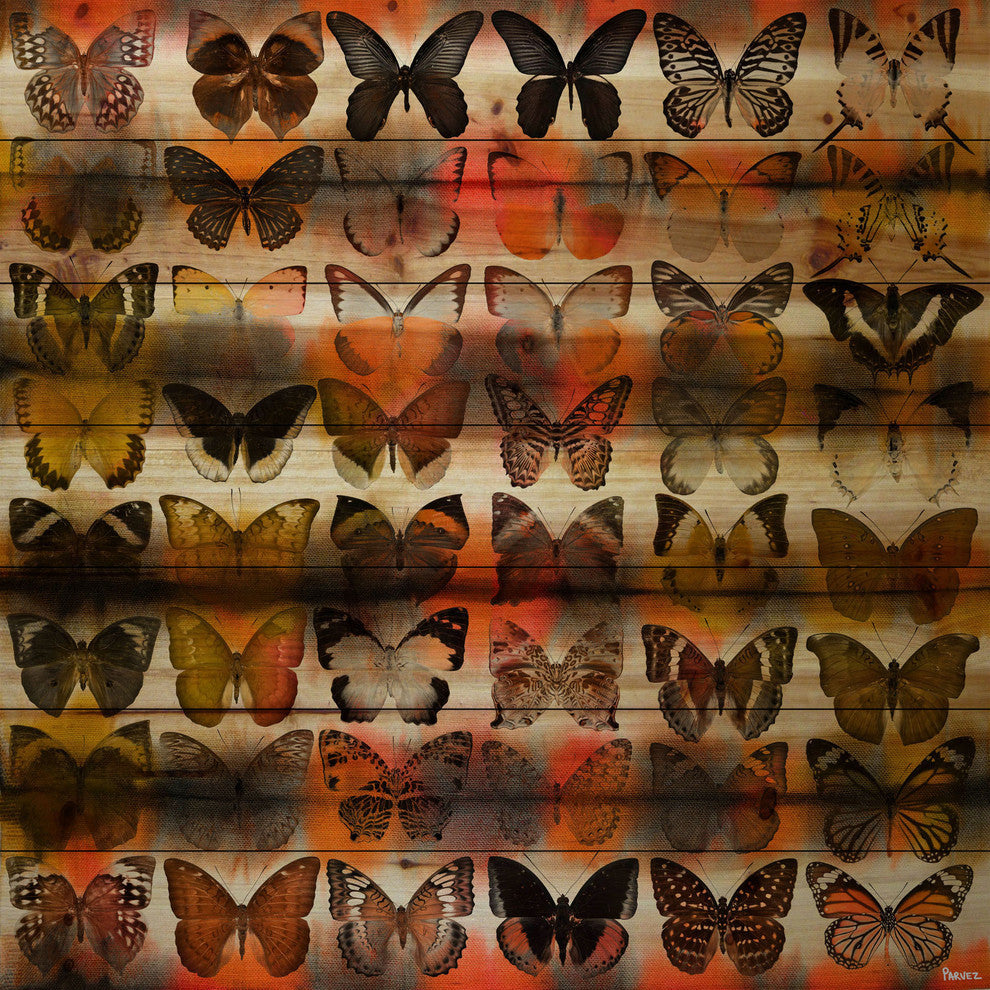 "Moths in Rows" UV Ink Print on Natural Pine Wood, 24"x24"