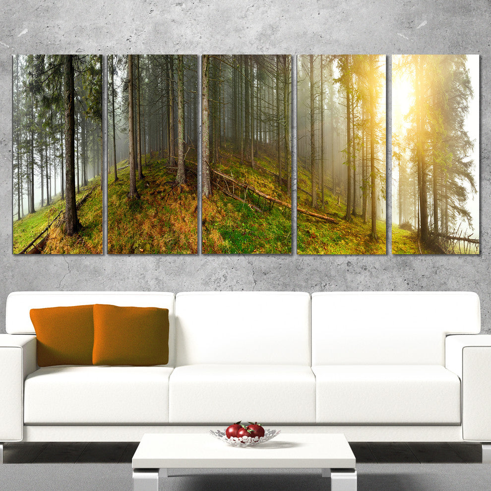 "Early Morning Sun in Forest" Canvas Print, 5 Panels