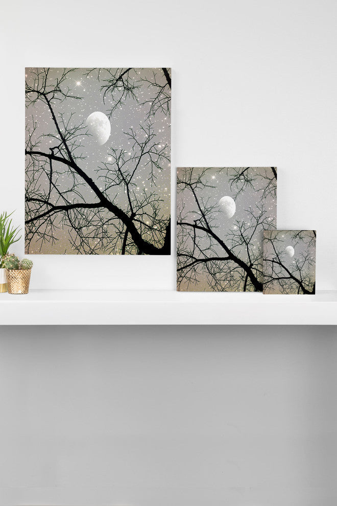 Deny Designs Shannon Clark Silver Sky Art Canvas