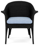 Lloyd Flanders All Seasons Lounge Chair, Ebony, Demo Skyway