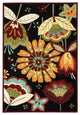 Nourison FANTASY 327 BLACK RUG