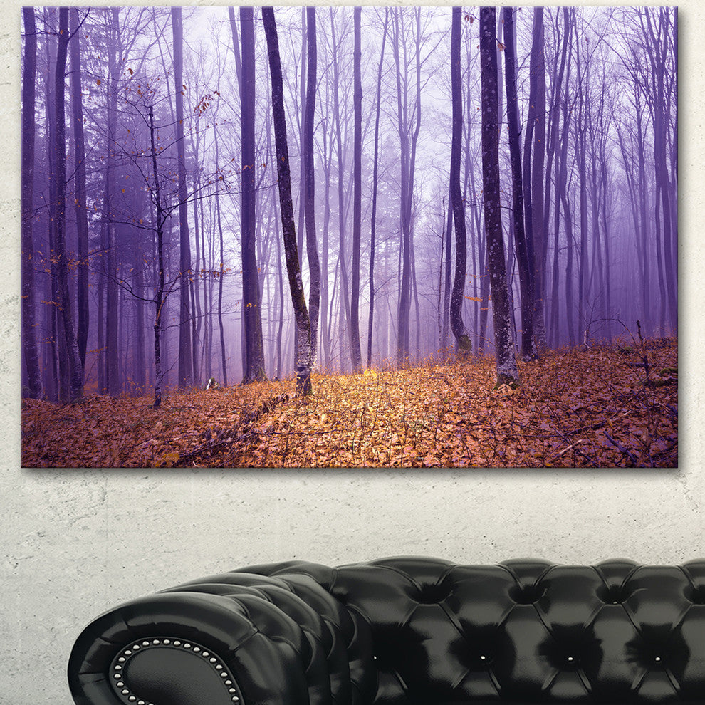 Magenta Foggy Fairytale Forest, Forest Canvas Art Print, 40"x30"