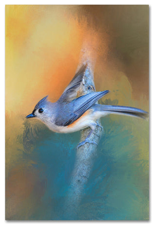 Jai Johnson 'In A Flash Tufted Titmouse' Canvas Art, 19 x 12