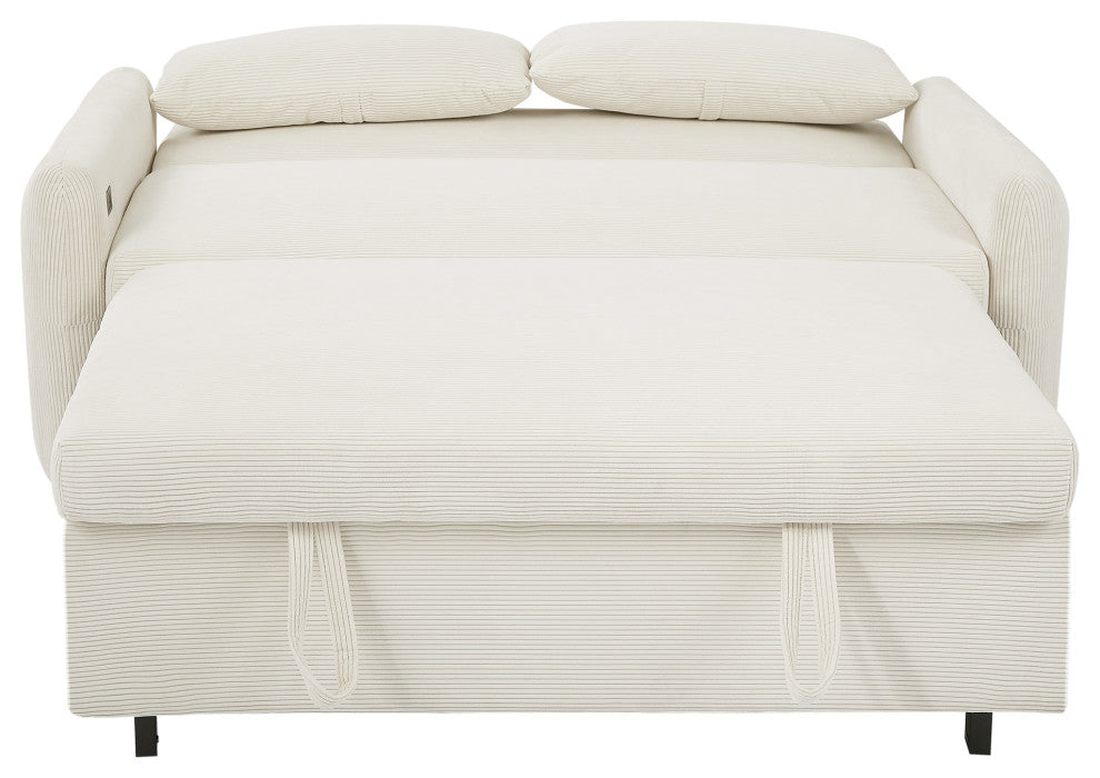 Gewnee 2 Seat Loveseat Sofa Modern Sleeper Sofa