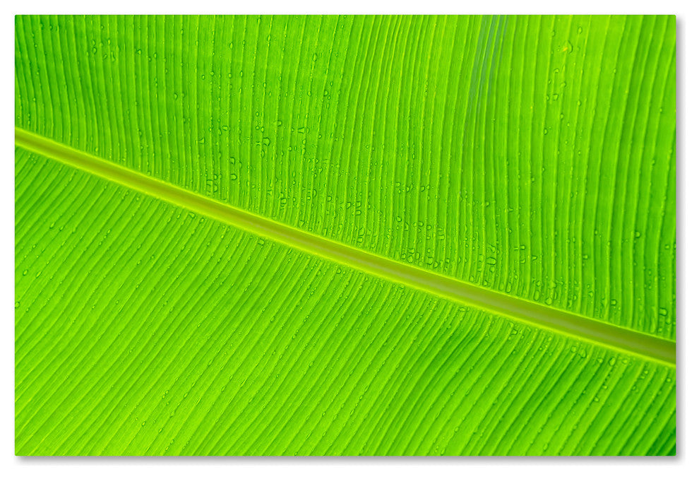 Cora Niele ''Leaf Texture II'' Canvas Art