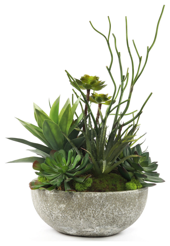 Faux Succulents & Agave Plant in Round Concrete Bowl