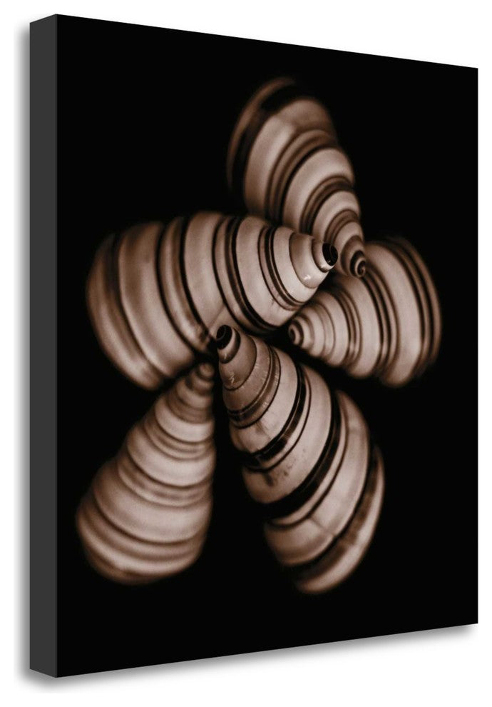 "Focus" By Michael Faragher, Giclee Print on Gallery Wrap Canvas, Ready to Hang