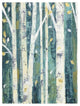 "Birches in Spring II" Digital Paper Print by Julia Purinton, 32"x42"