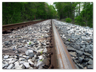 'Guided Journey' Canvas Art by Monica Fleet