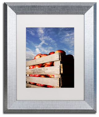 Jason Shaffer 'Orchard' Matted Framed Art, Silver Frame, White Mat, 11x14