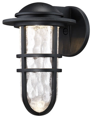Steampunk 13" LED Outdoor Wall Sconce 3000K, Black