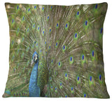 Beautiful Peacock with Feathers Animal Throw Pillow, 16"x16"