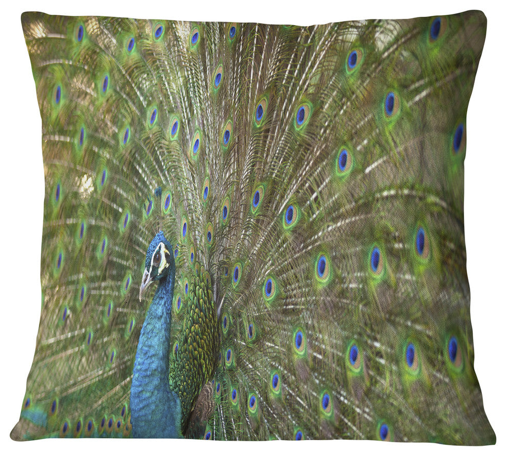 Beautiful Peacock with Feathers Animal Throw Pillow, 16"x16"