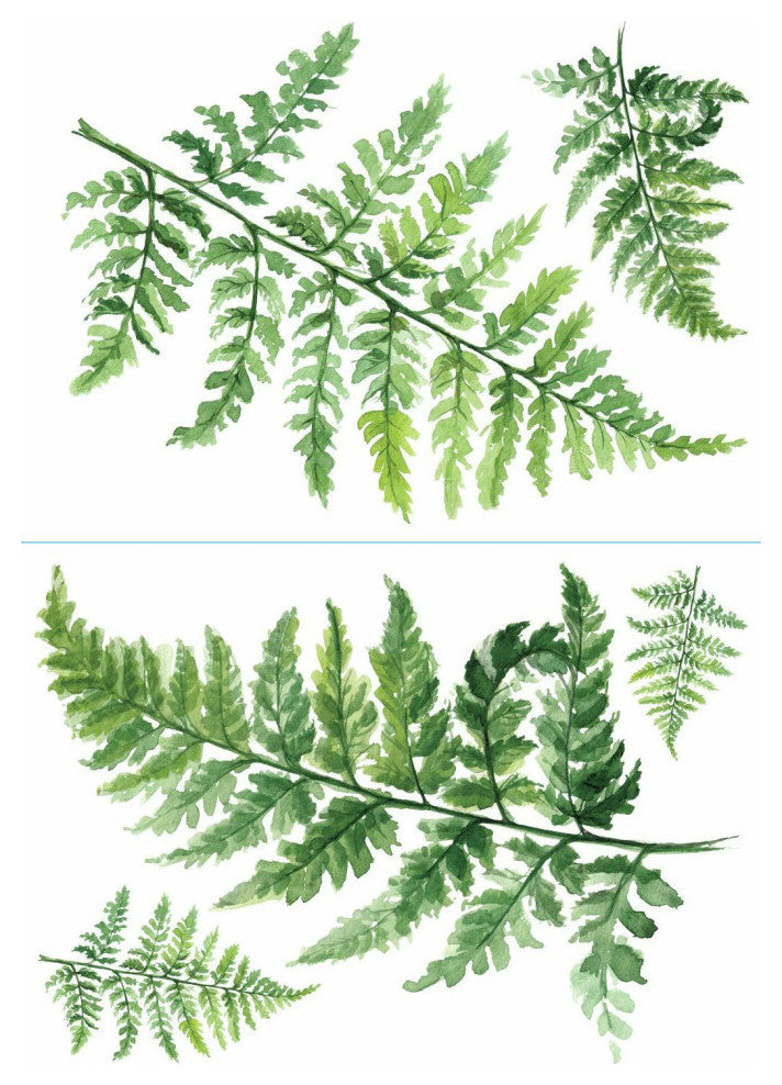 Green Watercolor Fern XL Giant Wall Decals