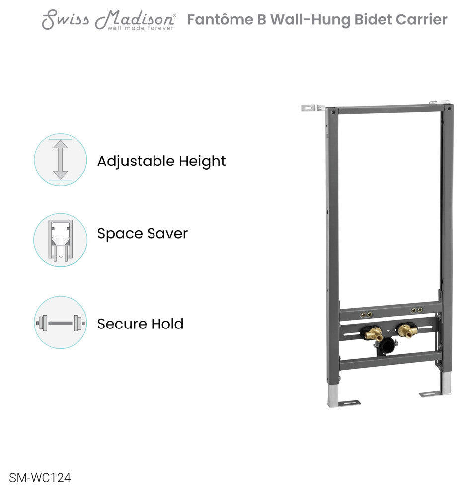 In Wall Bidet Carrier System