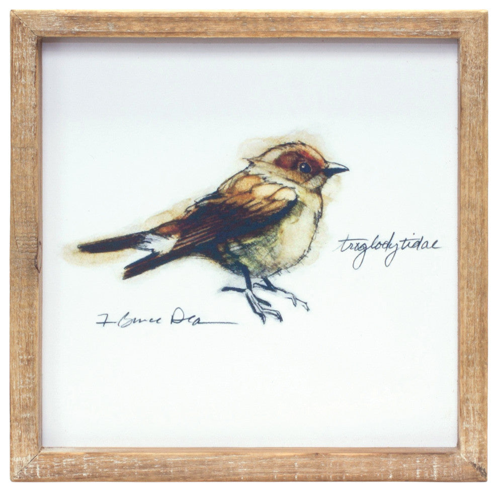Framed Bird Print, 4-Piece Set