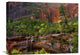 "Cascades And Desert Varnish At Emerald Pools, Zion National Park, Utah" Artwork