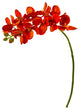 21" Phalaenopsis Orchid Artificial Flower, Set of 6, Orange