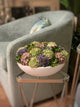 Creative Displays Arrangement, Sedum and Hydrangea, Glossy White Round Planter