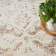 Nourison Astra Machine Washable 4'' x 6'' Beige Vintage Indoor Rug