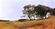 John Frederick Kensett Landscape With Figure Wall Decal