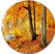 Yellow Forest Of Autumn, Landscape Photo Round Wall Art, 11"