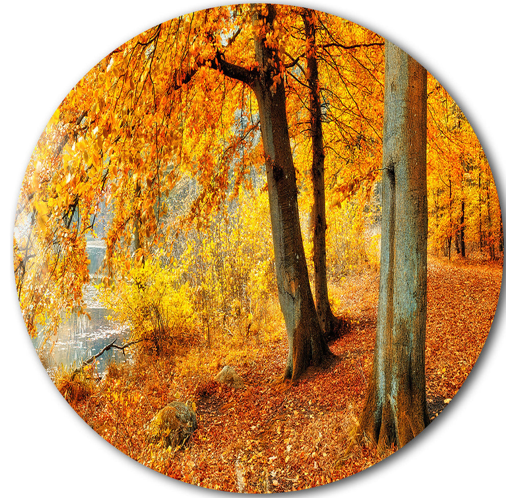 Yellow Forest Of Autumn, Landscape Photo Round Wall Art, 11"