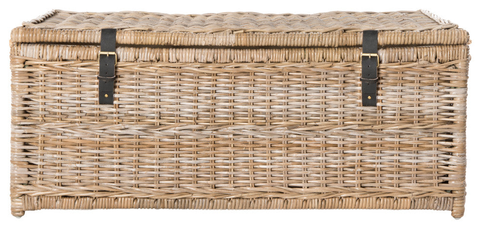 happimess Caden 46" Wicker Storage Trunk, Natural