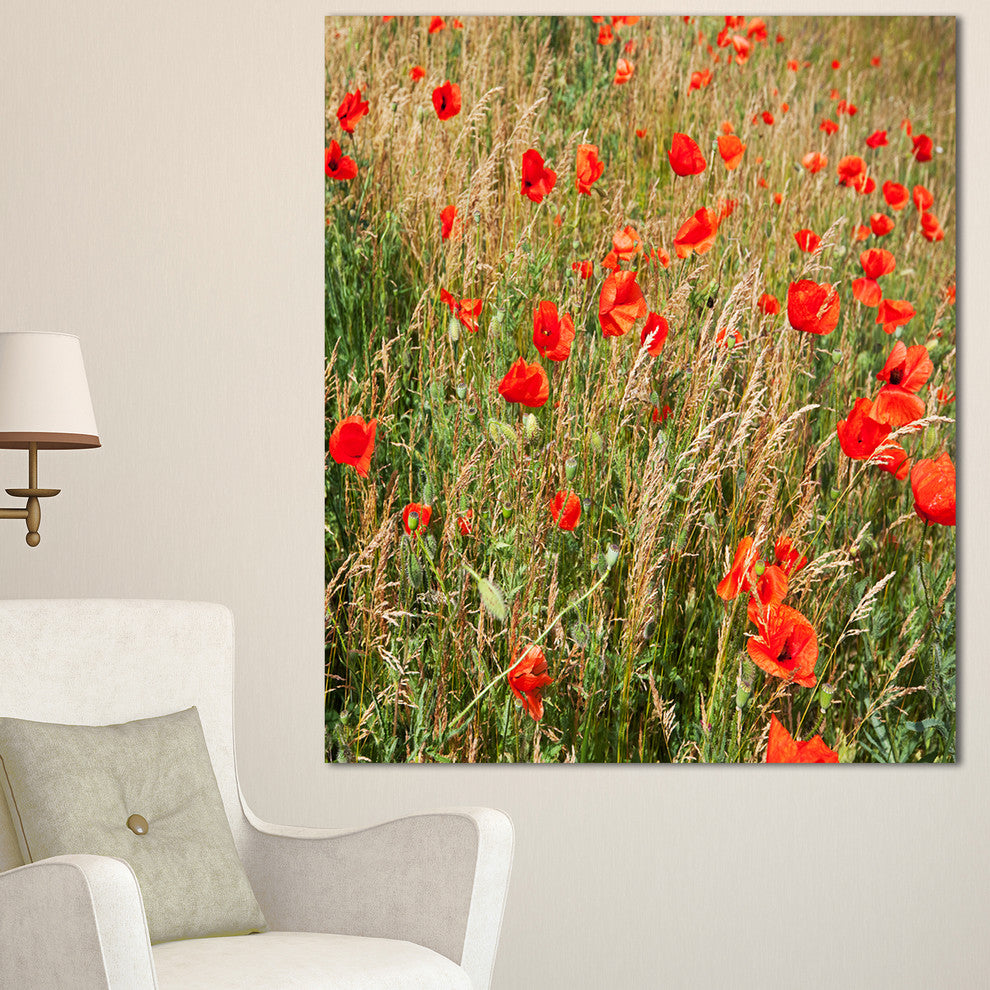 Red Poppy Field with Full of Flowers, Large Flower Canvas Art Print, 30"x40"