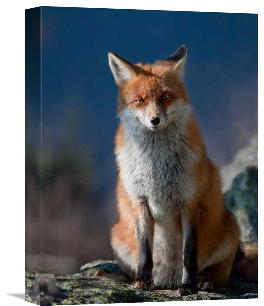 "Are You My Friend Or Not?" Stretched Canvas Giclee by Peter Svoboda, 12"x16"