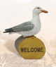 Seagull on Welcome Log