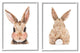 Cute Bunny with Cotton Tail Back Blushing Rabbit,11 x 14