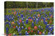 "Bluebonnet And Paintbrush Meadow, Cedar Hill State Park, Texas" Artwork