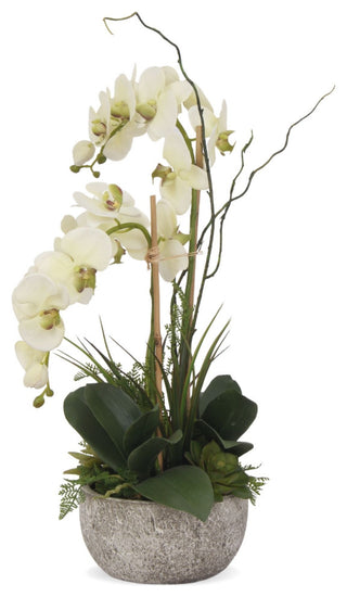 Cream/Green Orchids Flower Arrangement, Round Pot