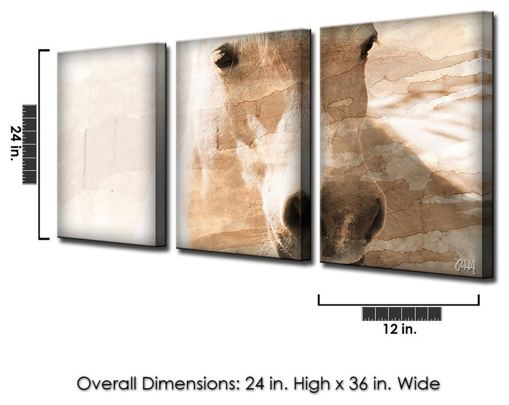 Equestrian Saddle Ink PSXI 4-Panels