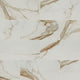 Regallo Calacatta Marbella 24X24 Matte Porcelain Tile, (4x4 or 6x6) Sample