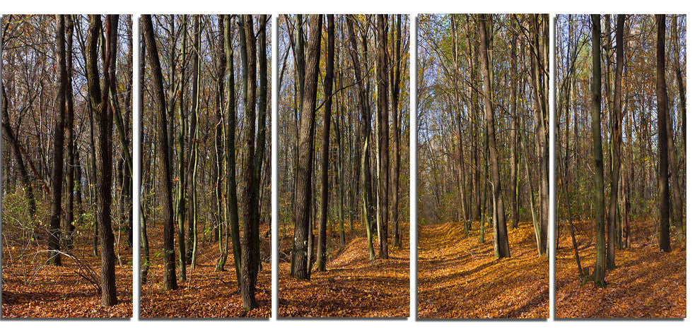 Dense Fall Forest Panorama, Forest Canvas Art Print, 60"x28", 5 Panels