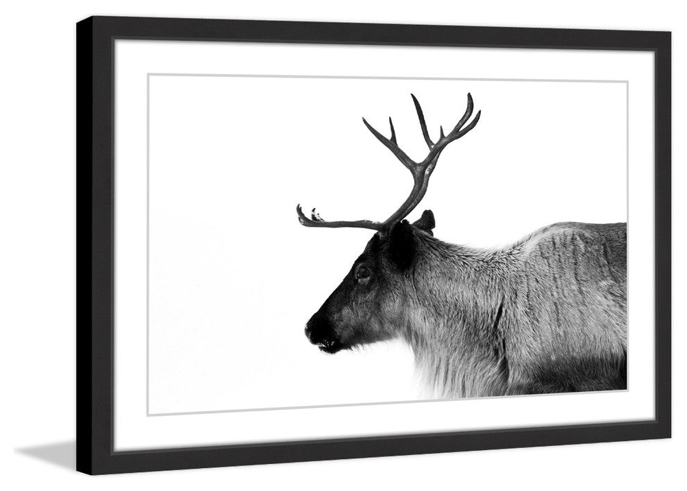 "Antler Profile" Framed Painting Print, 18x12