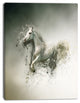 Smart White Horse Running, Animal Canvas Wall Art, 12"x20"