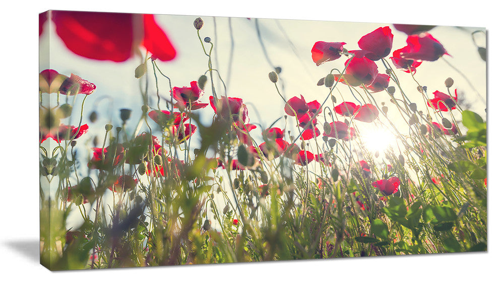 Poppy Flowers on Summer Meadow, Floral Canvas Art Print, 32"x16"