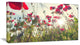 Poppy Flowers on Summer Meadow, Floral Canvas Art Print, 32"x16"