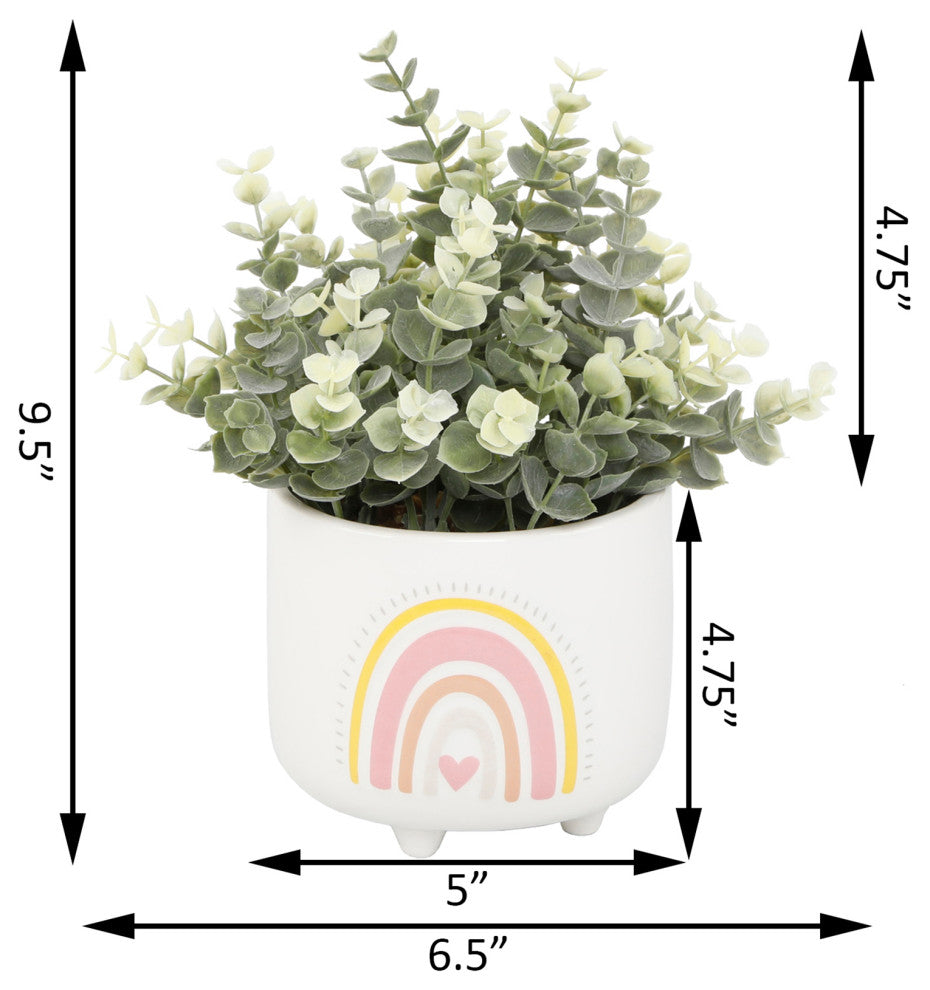 Eucalyptus In 4.75"  Double Rainbow Footed Pot