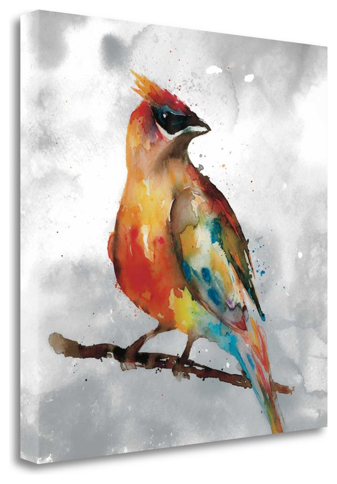 "Cardinal" By Stephanie Fontaine, Giclee Print on Gallery Wrap Canvas