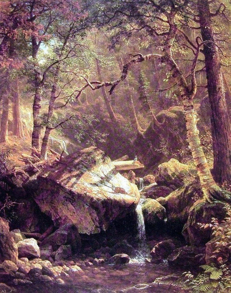 Albert Bierstadt The Mountain Brook Premium Canvas Print