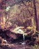 Albert Bierstadt The Mountain Brook Premium Canvas Print