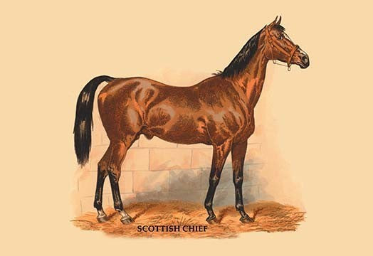 Scottish Chief - Framed Paper Poster 20" x 30"