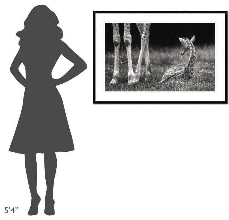 "Well Protected" Framed Digital Print by Andreas Feldtkeller, 44x30"