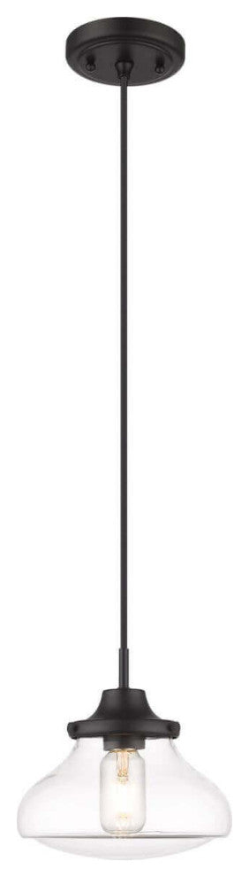 1 Light 8" Small Pendant, Black With Clear Glass