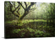 "Hetre de la Marre" Wrapped Canvas Art Print, 24"x16"x1.5"