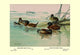Argentine and Peruvian Ruddy Ducks- Fine Art Giclee Print 24" x 36"